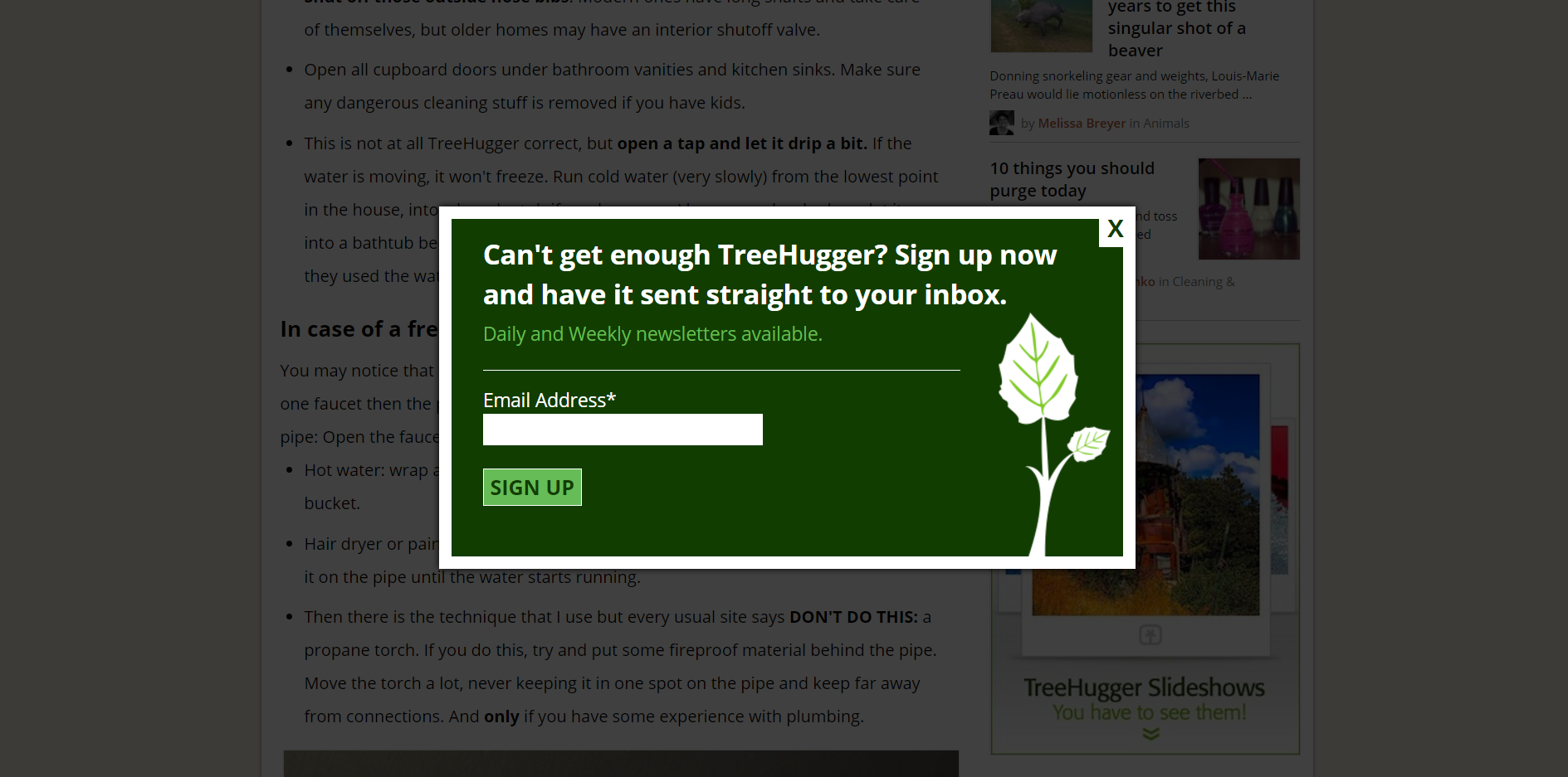 pop up ads - treeblogger.com