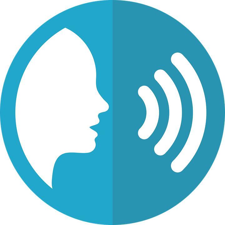 Voice search logo